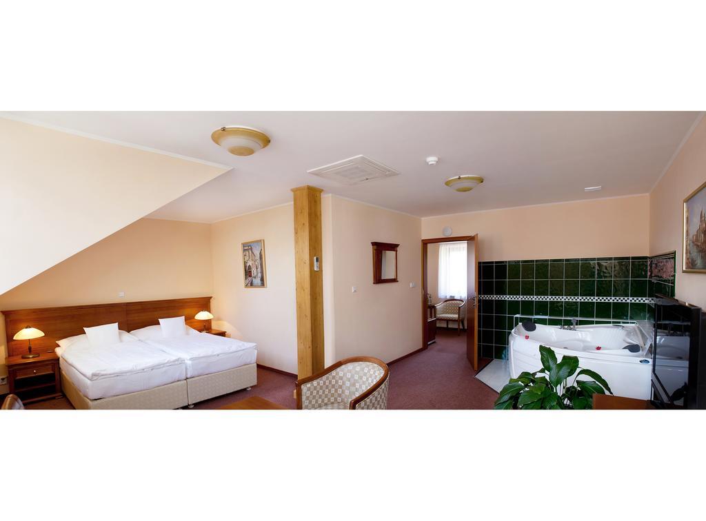 Wellness Hotel Ida Františkovy Lázně 객실 사진